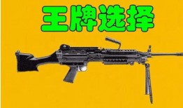 和平精英新枪械爆料最新,神秘性能引发玩家热议